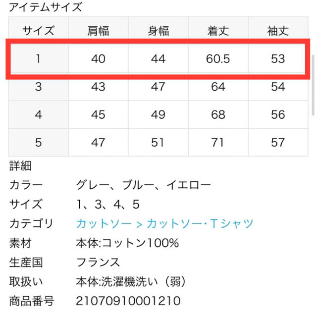 IENA SAINT JAMES 別注 OUESSANT ボーダーカットソー 2