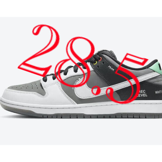 Nike SB Dunk Low VX1000 ナイキ ダンク  カムコーダー285cmよろしくお願いします