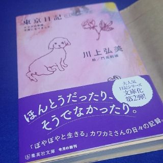 文庫 東京日記３＋４ 川上弘美(文学/小説)