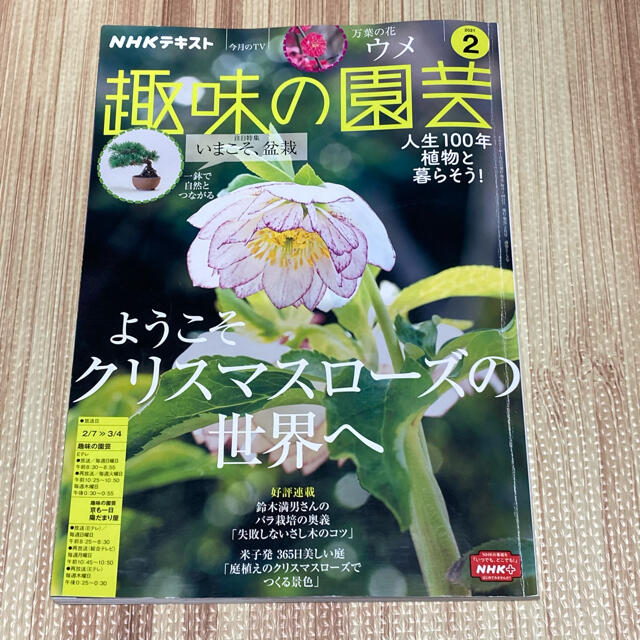 趣味の園芸　2021年　2月号 エンタメ/ホビーの本(趣味/スポーツ/実用)の商品写真