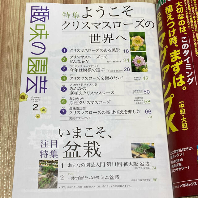 趣味の園芸　2021年　2月号 エンタメ/ホビーの本(趣味/スポーツ/実用)の商品写真