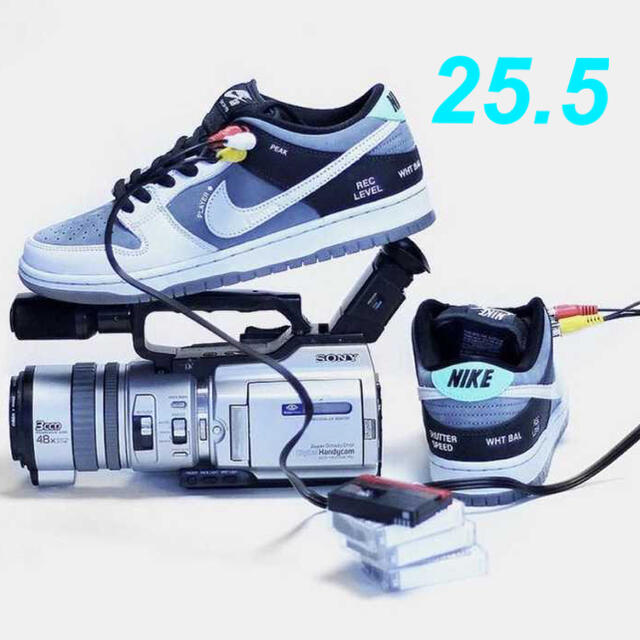 NIKE SB DUNK LOW PRO VX1000 CAMCORDER