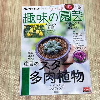 趣味の園芸　2020年　12月号(趣味/スポーツ/実用)