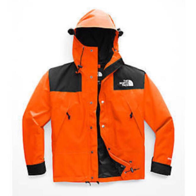 THE NORTH FACE(ザノースフェイス)のThe North Face 1990 Mountain Jacket GTX メンズのジャケット/アウター(マウンテンパーカー)の商品写真