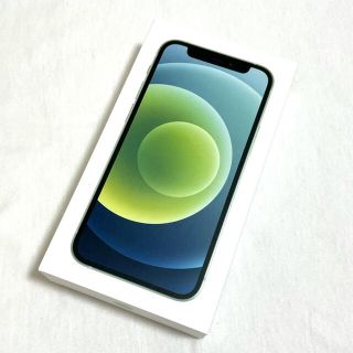 アイフォーン(iPhone)のiPhone12 mini グリーン　箱・付属品のみ(本体なし) (その他)