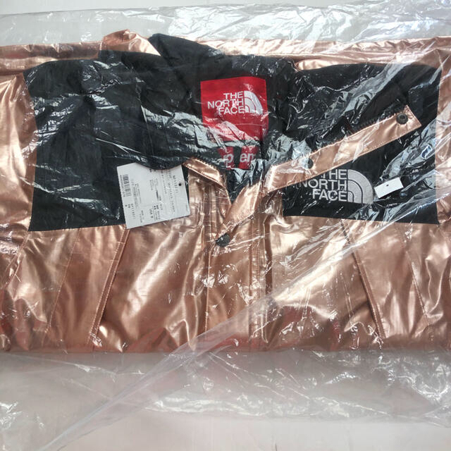 Supreme(シュプリーム)のSupreme The North Face Metallic Mountain メンズのジャケット/アウター(マウンテンパーカー)の商品写真