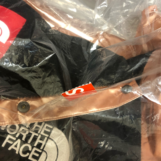 Supreme(シュプリーム)のSupreme The North Face Metallic Mountain メンズのジャケット/アウター(マウンテンパーカー)の商品写真