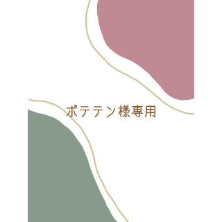 ポテテン様専用ページ(その他)