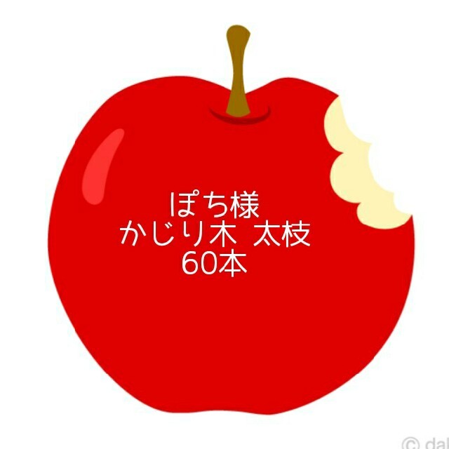 0円 【残りわずか】 専用りんごの枝 かじり木 約5kg 0511