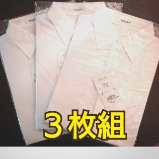 【未開封】５号/３枚組　ボウタイ付き事務服レディース半袖ブラウス・シャツ(シャツ/ブラウス(半袖/袖なし))