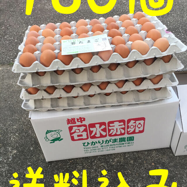 野菜　160個　生2週間　加熱1ヶ月　若たまご　卵掛けご飯　北海道、沖縄別