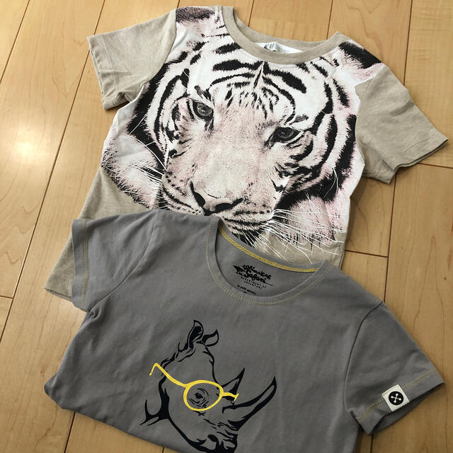 H&M(エイチアンドエム)の2枚セット アニマルTシャツ  キッズ/ベビー/マタニティのキッズ服男の子用(90cm~)(Tシャツ/カットソー)の商品写真