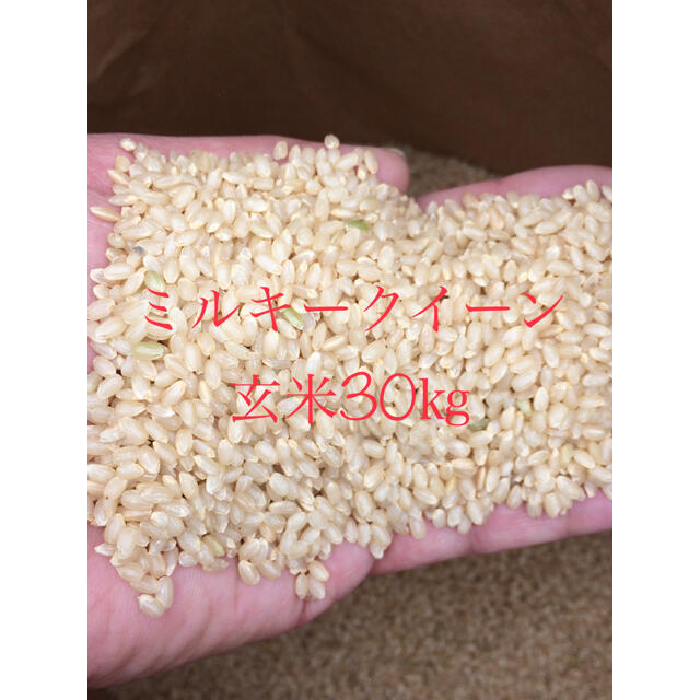 令和2年産 「ミルキークイーン玄米30㎏」未検査米 モチモチ食感が人気