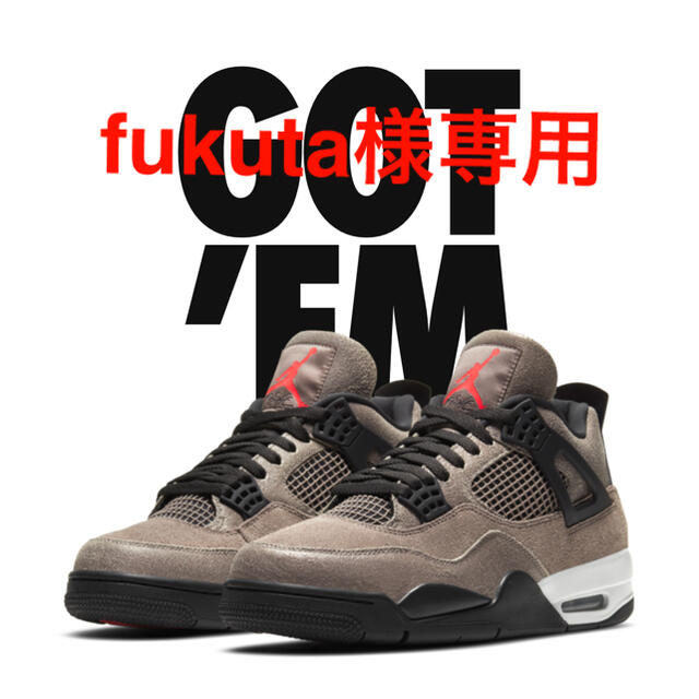 Air Jordan 4 Taupe Haze 29.0cm