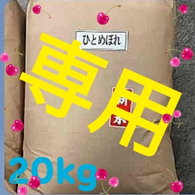 Riky様専用 お米 特A地域産 ひとめぼれ 20kg R2年度岩手県産 食品/飲料/酒の食品(米/穀物)の商品写真