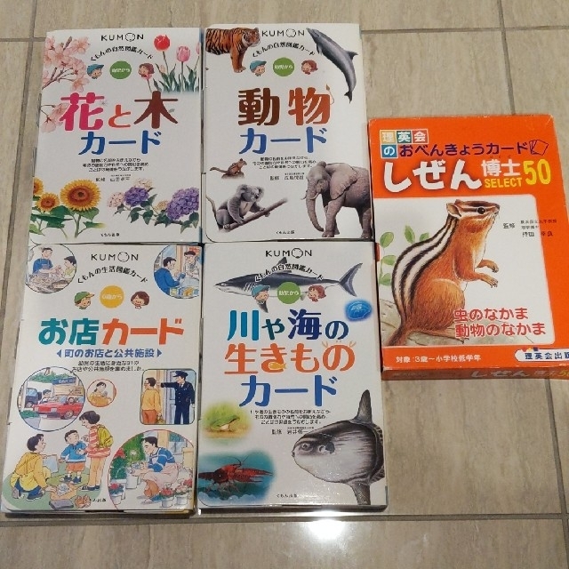 動物 花と木 川や海の生きもの お店カ－ド くもん しぜん博士 理英会 受験