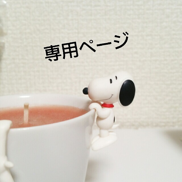 のんちゃん様専用です。 のんちゃん様専用です。