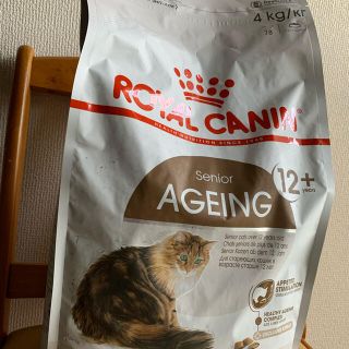 Royal Canin ロイヤルカナン猫ユリナリーs Oオルファクトリー の通販 ラクマ Royal Canin ロイヤルカナン猫ユリナリーs Oオルファクトリー の通販 ラクマ