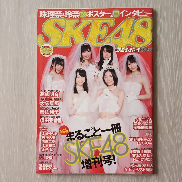 SKE48(エスケーイーフォーティーエイト)の週刊プレイボーイ まるごと一冊SKE48増刊号  エンタメ/ホビーの雑誌(アート/エンタメ/ホビー)の商品写真