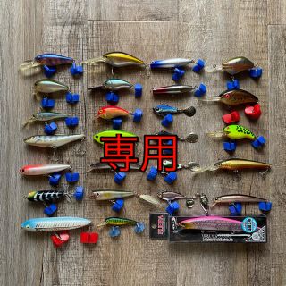 ダイワ(DAIWA)の専用　ブラックバス　ミノー　バイブレーション　クランクベイト　スピニング　ベイト(ルアー用品)