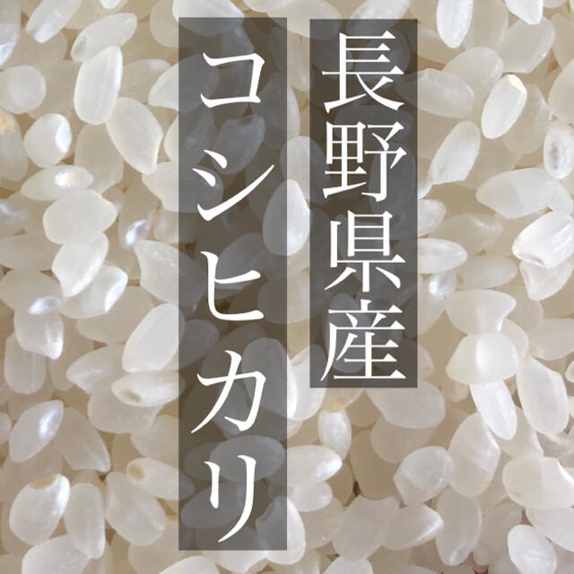 【令和2年度】白米30キロ　長野県産　コシヒカリ　お米食品/飲料/酒