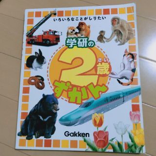 ガッケン(学研)の学研の2歳ずかん　いろいろなことがしりたい　2才　絵本(絵本/児童書)