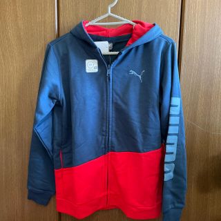 プーマ(PUMA)の新品★プーマ ジップアップパーカードライ(ジャケット/上着)