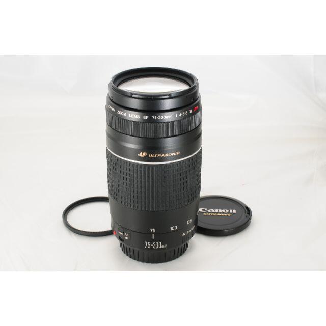 大迫力望遠】Canon EF 75-300mm F4-5.6 III USM - レンズ(ズーム)