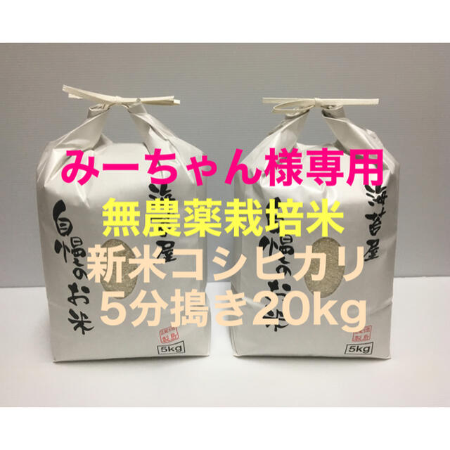 みーちゃん様専用 無農薬コシヒカリ5分つき精米20kg(5kg×4)令和2年産