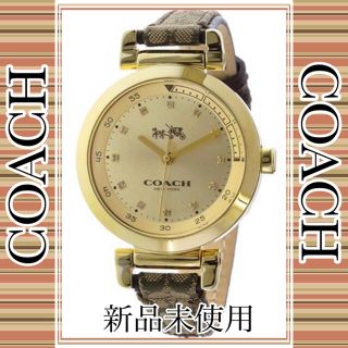 コーチ(COACH)の【新品】コーチ COACH スポーツ クオーツ レディース 腕時計 ゴールド (腕時計)