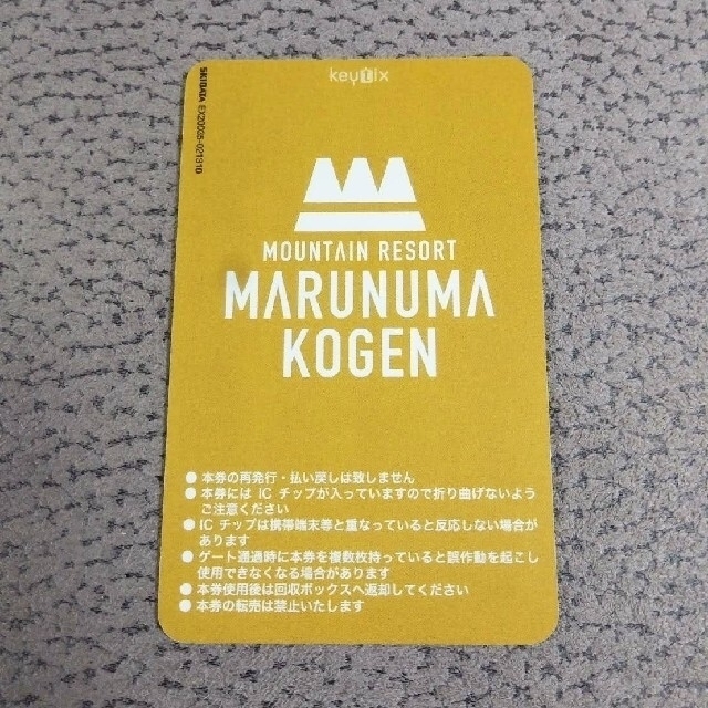 施設利用券ペア 丸沼高原スキー場 リフト券 - スキー場