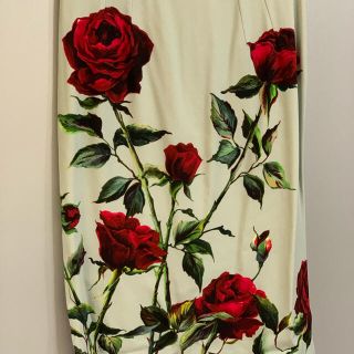 ドルチェアンドガッバーナ(DOLCE&GABBANA)のドルチェ&ガッバーナ　タイトスカート美品　新品（064）(その他)