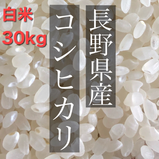 【令和2年度】白米30キロ　長野県産　コシヒカリ　お米米/穀物