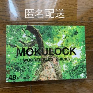 MOKULOCK もくロック　木製ブロック　知育玩具(積み木/ブロック)