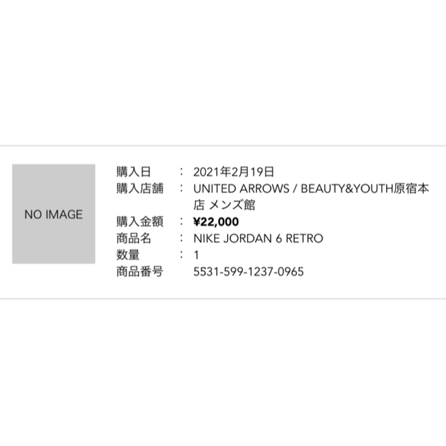 NIKE(ナイキ)のナイキ  エアジョーダン6 カーマイン (2021) メンズの靴/シューズ(スニーカー)の商品写真