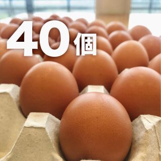 蔵王鶏園の「眠れる森のたまご」(野菜)