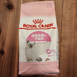 ロイヤルカナン(ROYAL CANIN)のロイヤルカナン 成長後期の子猫用 2kg(ペットフード)