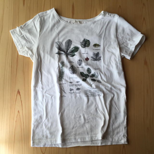 FELISSIMO(フェリシモ)の植物図鑑？今期Ｔシャツ レディースのトップス(Tシャツ(半袖/袖なし))の商品写真