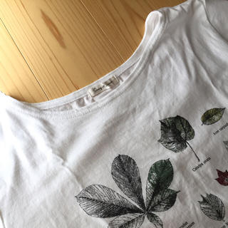 フェリシモ(FELISSIMO)の植物図鑑？今期Ｔシャツ(Tシャツ(半袖/袖なし))