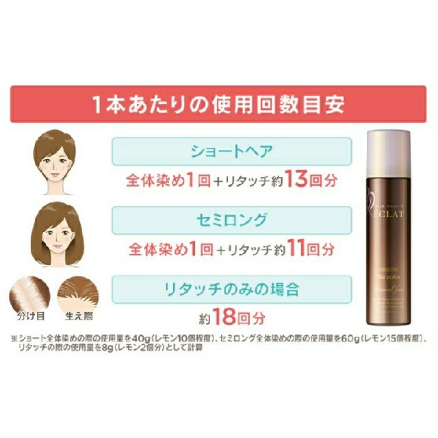 ヘアボーテ エクラ ボタニカル エアカラーフォーム150g ナチュラルブラック