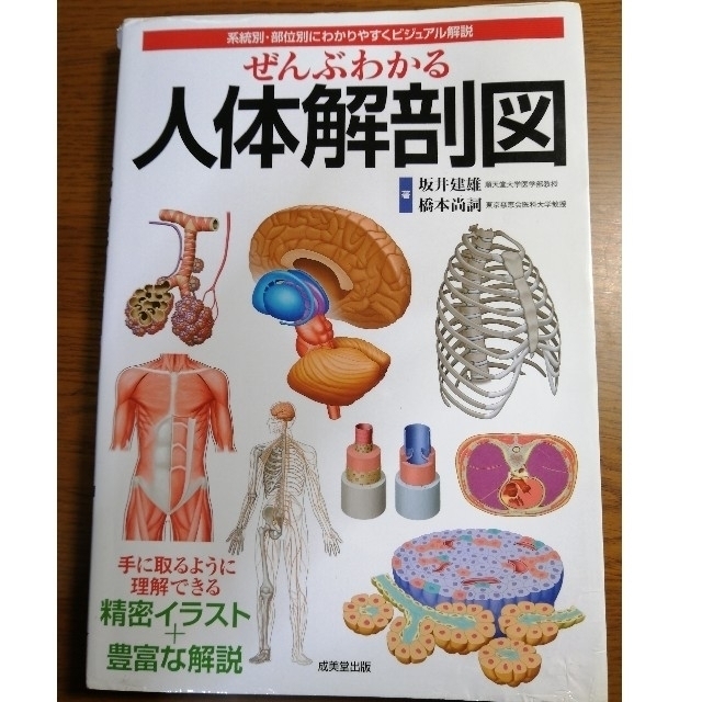 ぜんぶわかる人体解剖図 系統別・部位別にわかりやすくビジュアル解説 エンタメ/ホビーの本(健康/医学)の商品写真