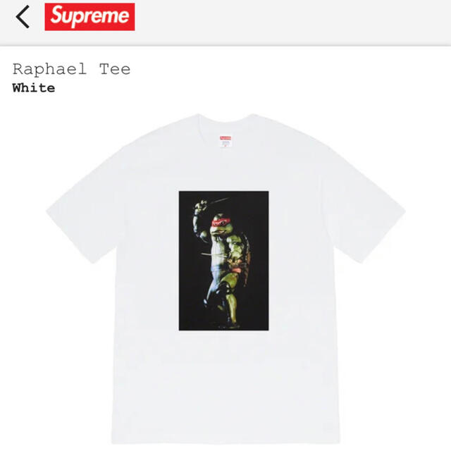 新品 Lサイズ supreme raphael tee ラファエル tシャツ