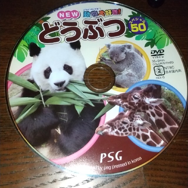 どうぶつ スペシャル50 DVD エンタメ/ホビーのDVD/ブルーレイ(キッズ/ファミリー)の商品写真