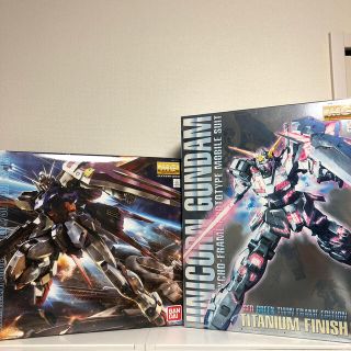 バンダイ(BANDAI)のmasamasa様専用　　MG ユニコーンチタニウム & エールストライク(模型/プラモデル)