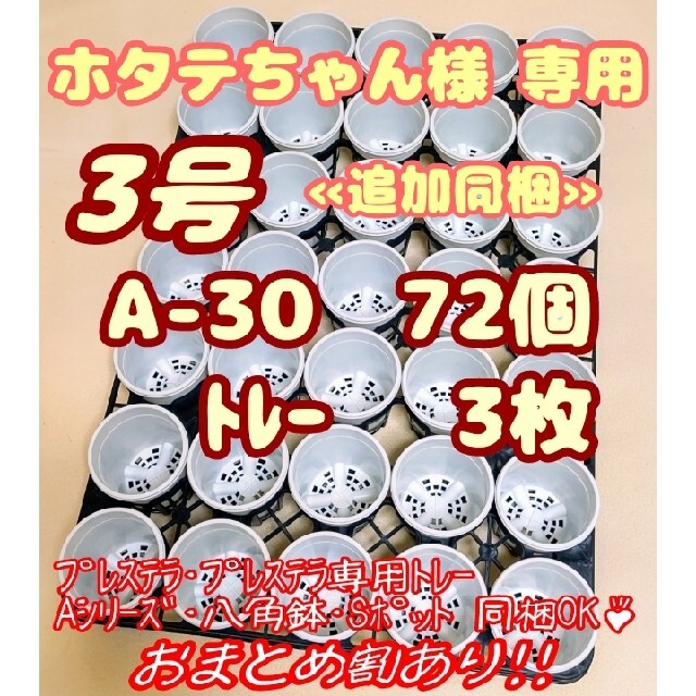 プラ鉢3号【A-30】72個+トレー3枚 スリット鉢 プレステラ 多肉植物 ハンドメイドのフラワー/ガーデン(プランター)の商品写真