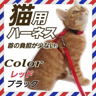 リード ハーネス 猫 カラー ブラック レッド(猫)