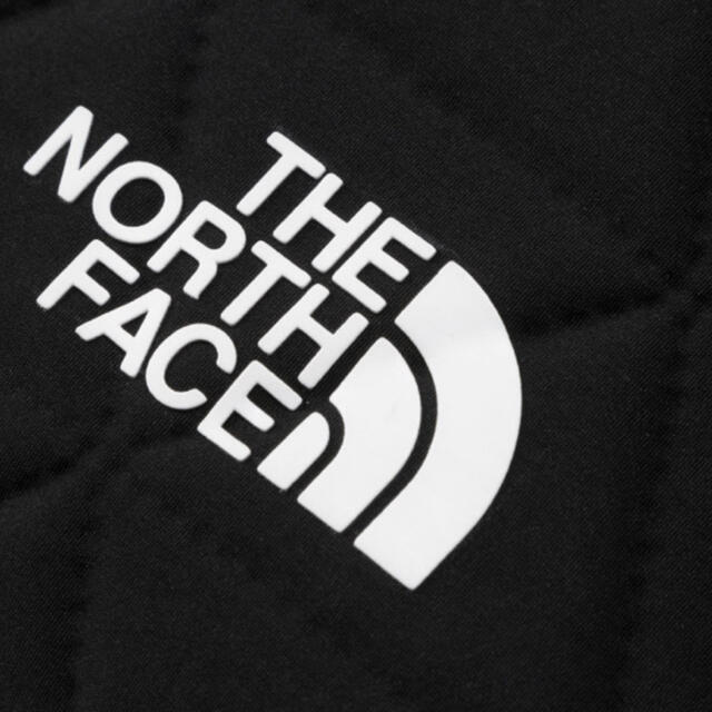 THE NORTH FACE(ザノースフェイス)のジオフェイスボックストート レディースのバッグ(トートバッグ)の商品写真