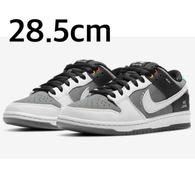 Nike SB Dunk Low  ISO VX1000 Camcorder