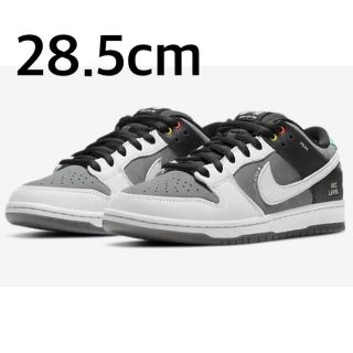 ナイキ(NIKE)のNike SB Dunk Low  ISO VX1000 Camcorder(スニーカー)