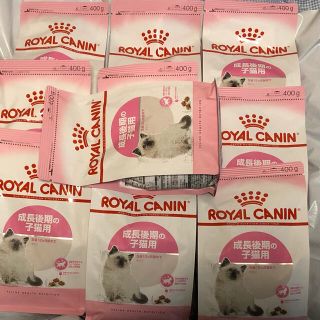 ロイヤルカナン(ROYAL CANIN)のロイヤルカナン 子猫用ドライフード キトン400g×10袋セット 成長後期の子猫(ペットフード)